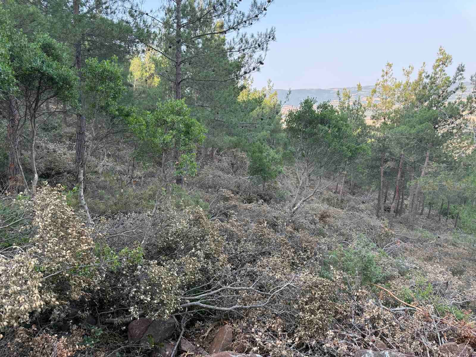 εικόνα_Viber_2025-10-04_19-05-11-763