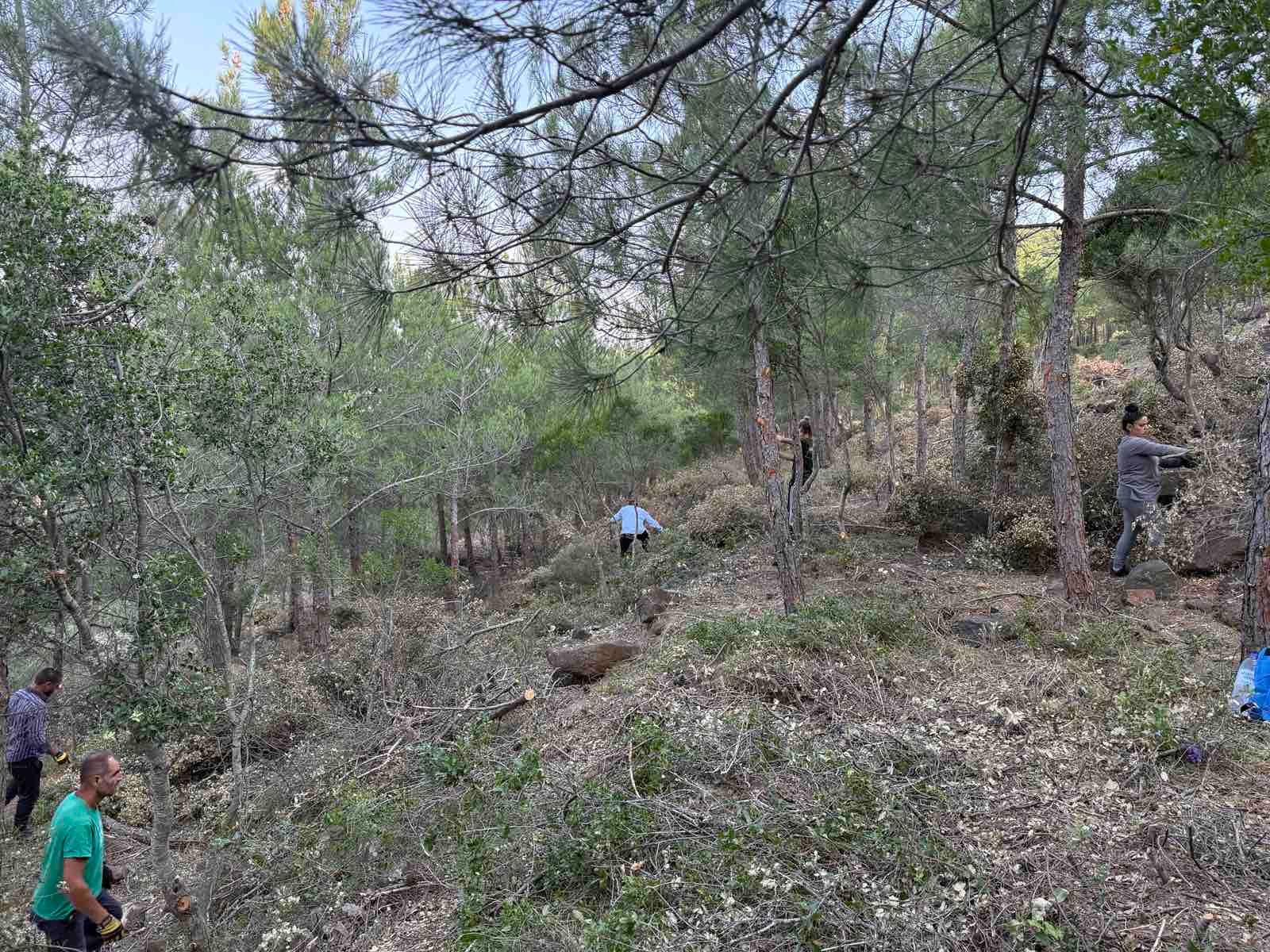 εικόνα_Viber_2025-10-04_19-05-24-951