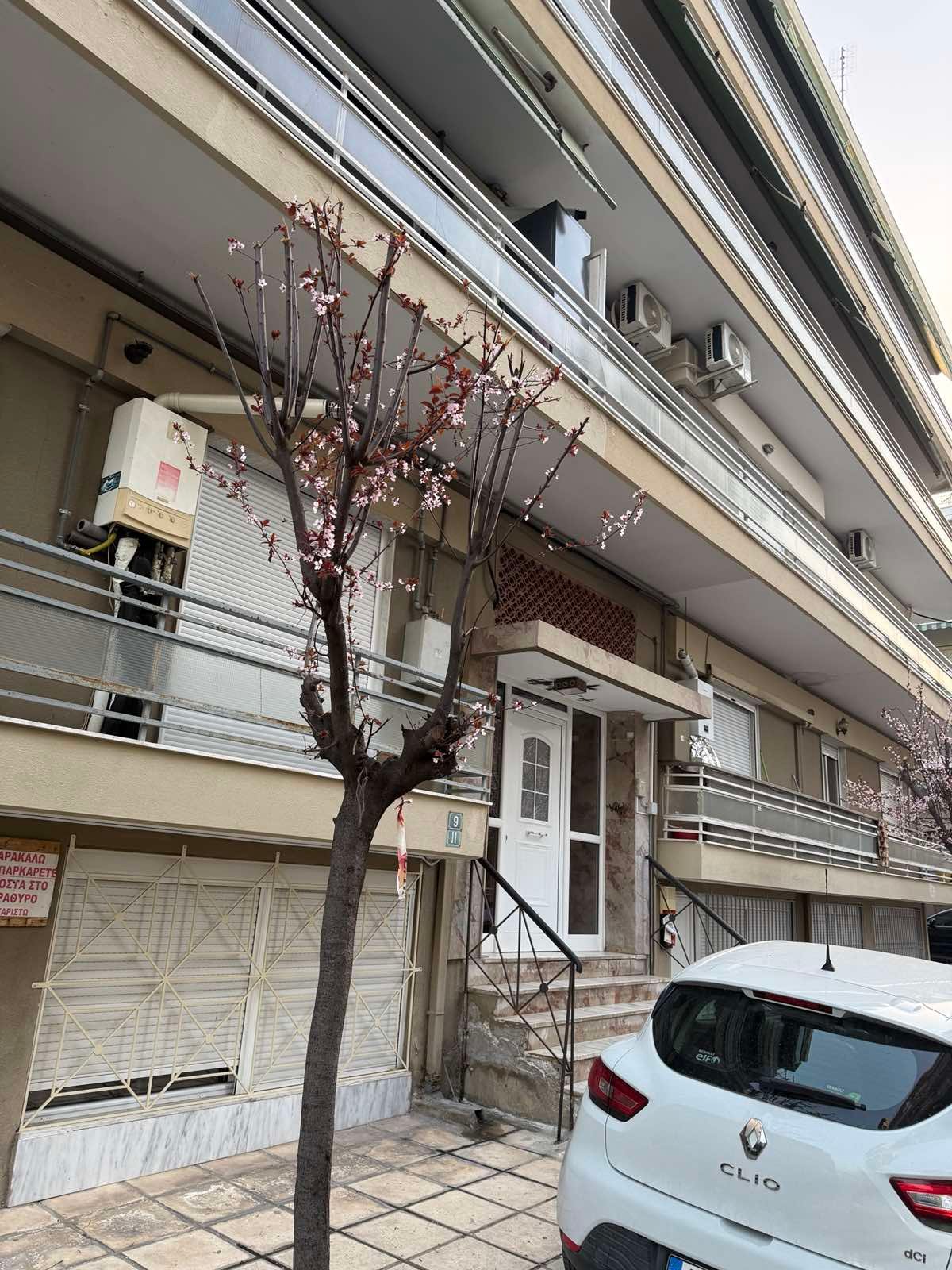 εικόνα_Viber_2025-10-04_19-14-09-382