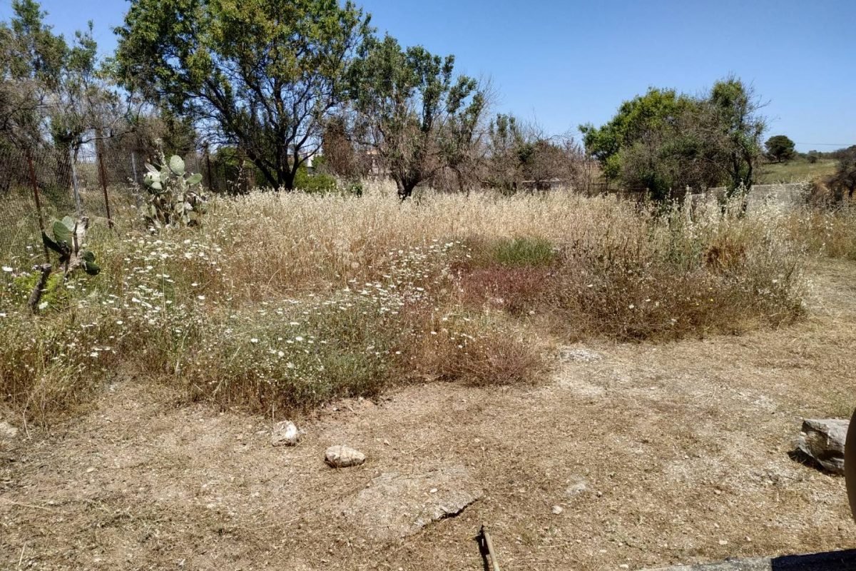 καθαρισμός οικοπέδου από ξηρά χόρτα