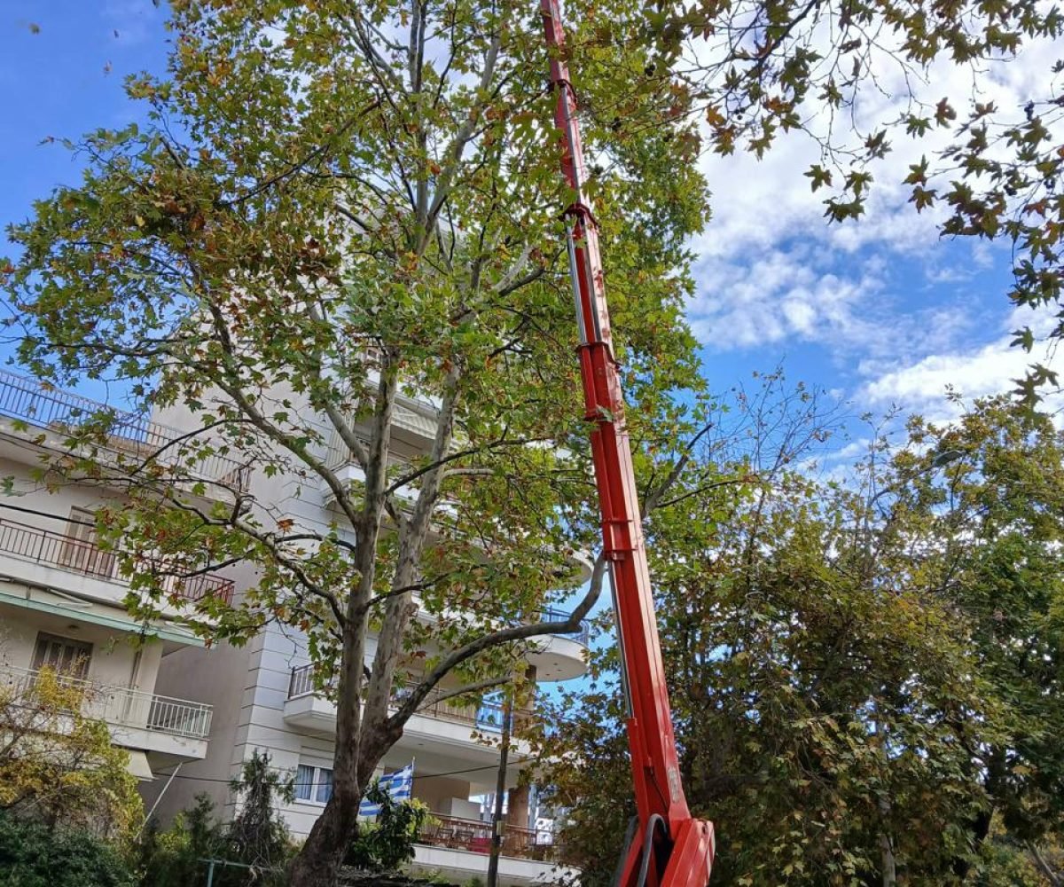 WhatsApp Image 2026-01-29 at 10.16.46 AM