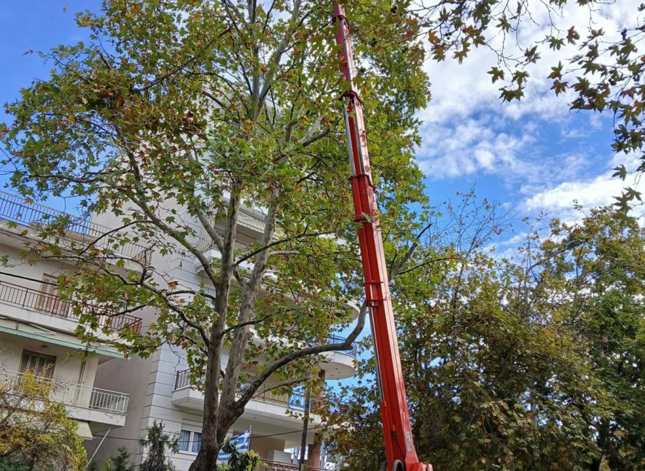 WhatsApp Image 2026-01-29 at 10.16.46 AM