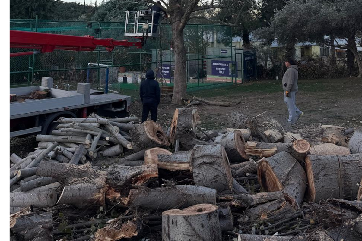 WhatsApp Image 2026-01-29 at 10.21.39 AM 1