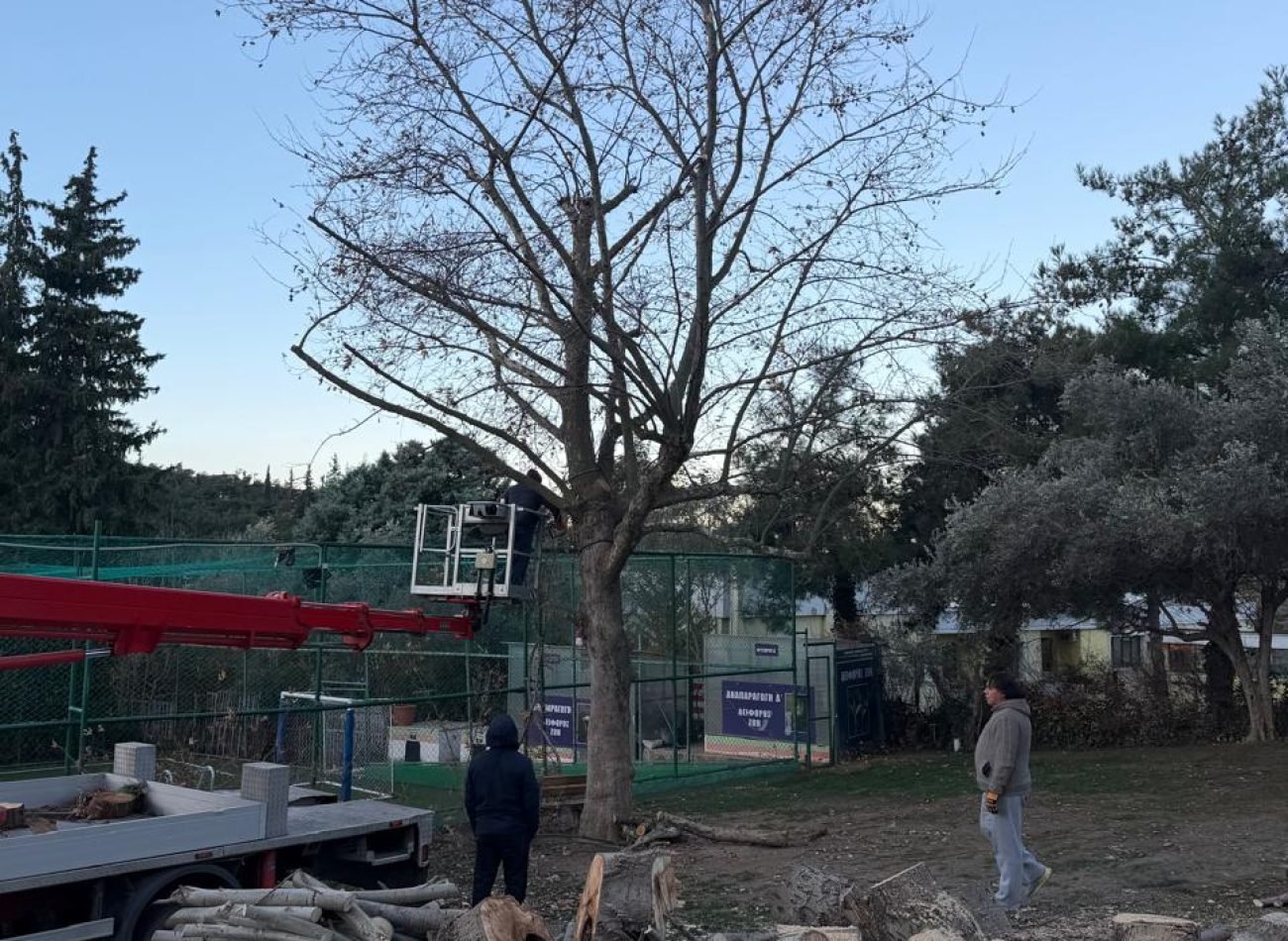 WhatsApp Image 2026-01-29 at 10.21.39 AM