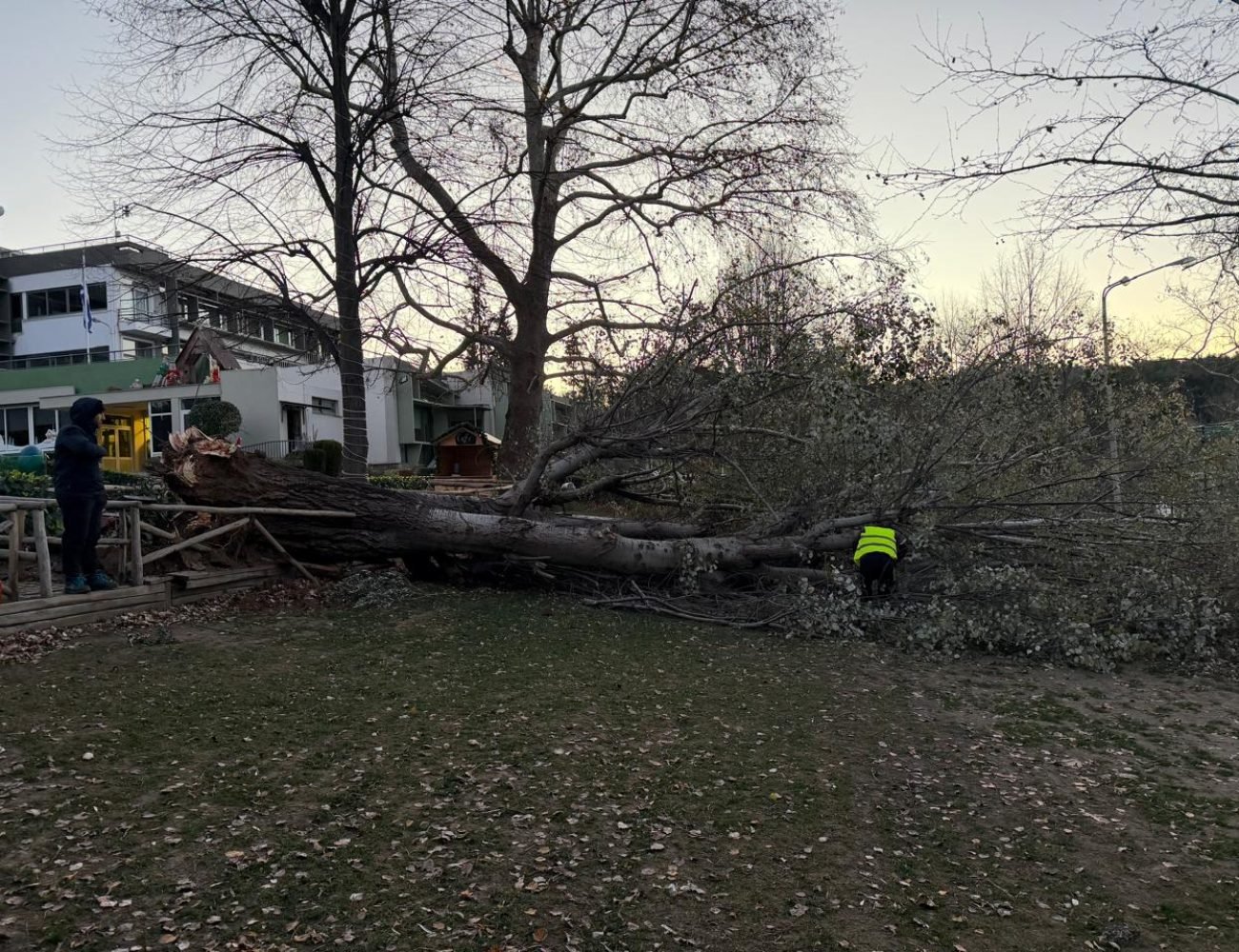 WhatsApp Image 2026-01-29 at 10.22.16 AM