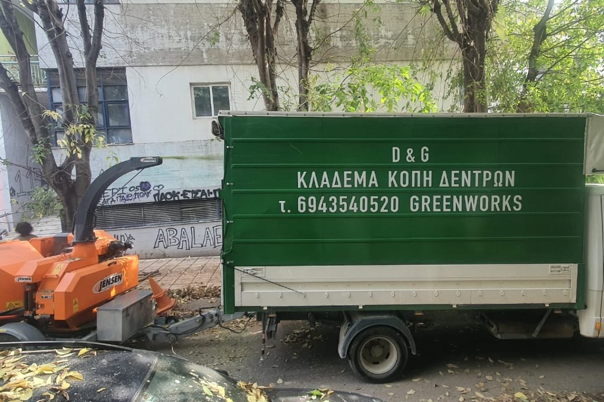 WhatsApp Image 2026-01-29 at 9.44.48 AM