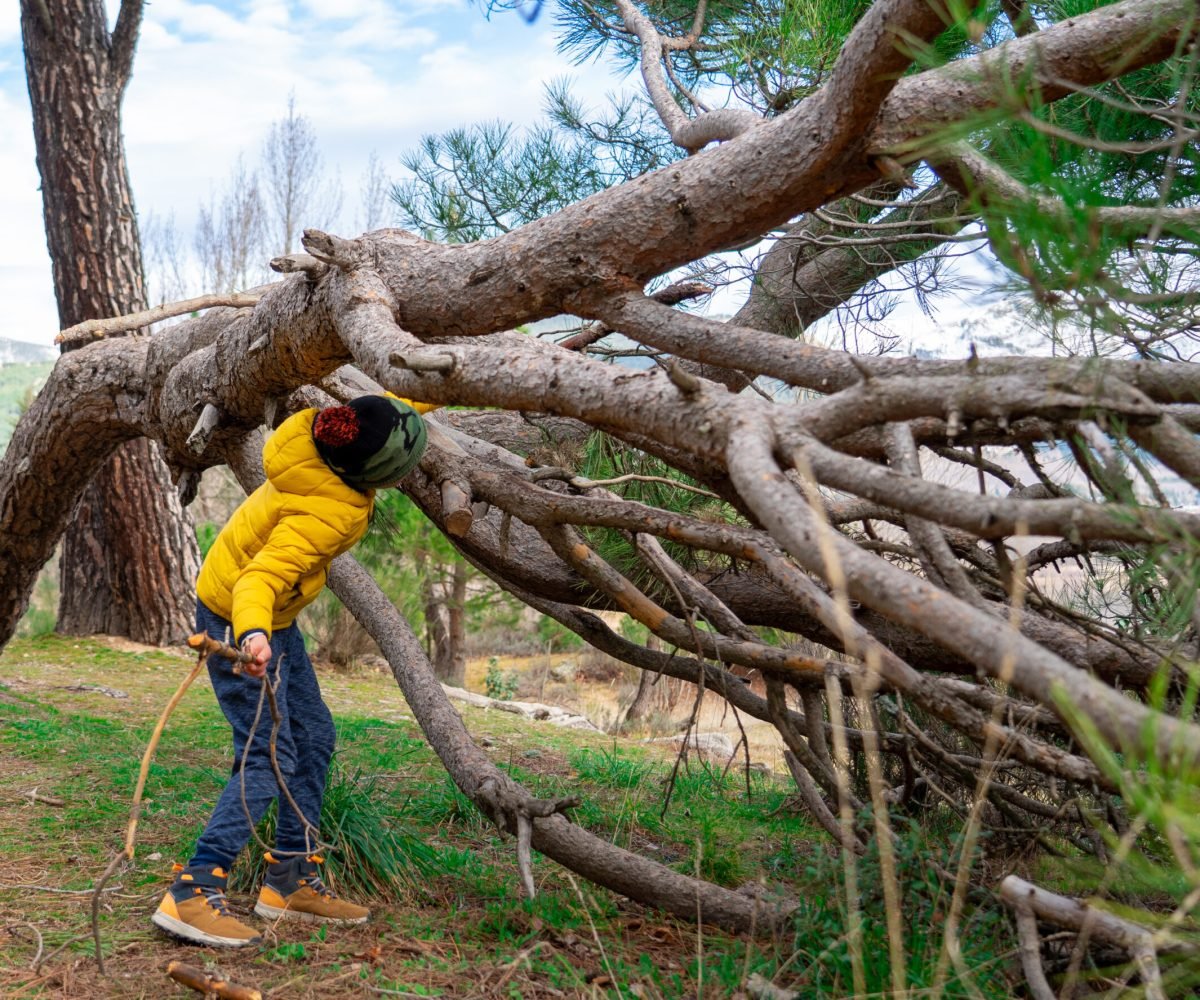 Boy playing with tree branches in nature