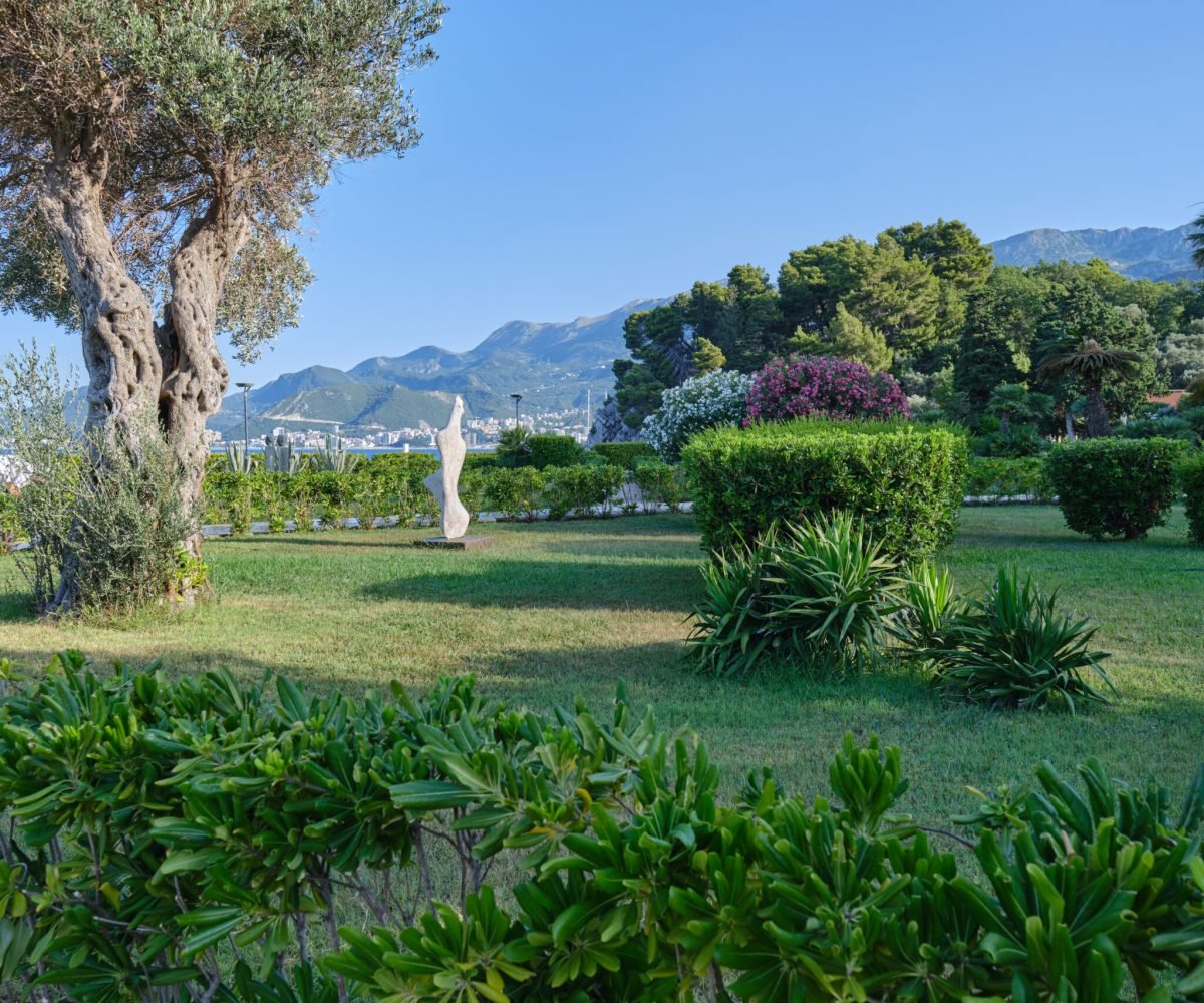 Public park with green lawn and bushes in Montenegro on a summer sunny day. Place to stay near Sveti Stefan beach