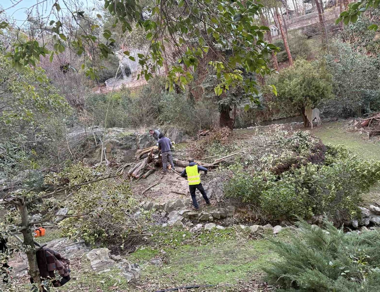 εικόνα_Viber_2025-10-04_19-17-04-442