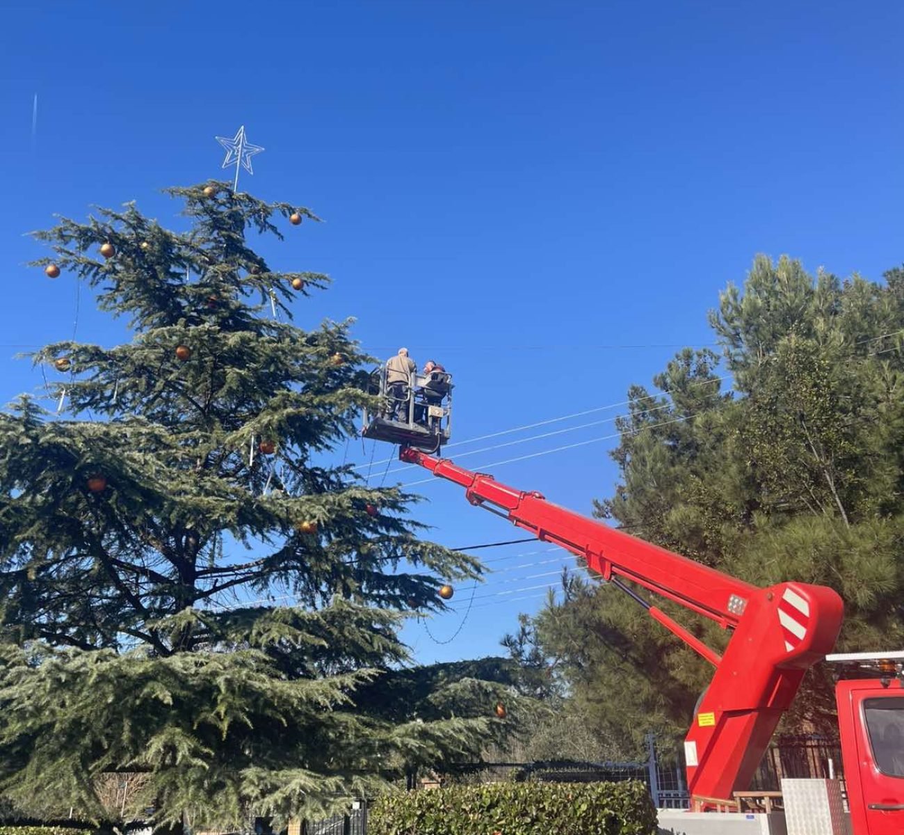 εικόνα_Viber_2026-01-29_10-10-43-157