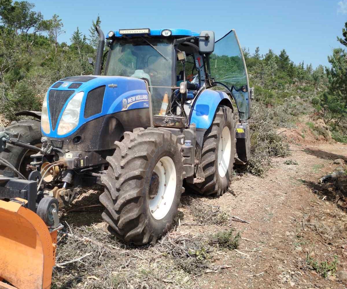 εικόνα_Viber_2026-01-29_10-11-21-846