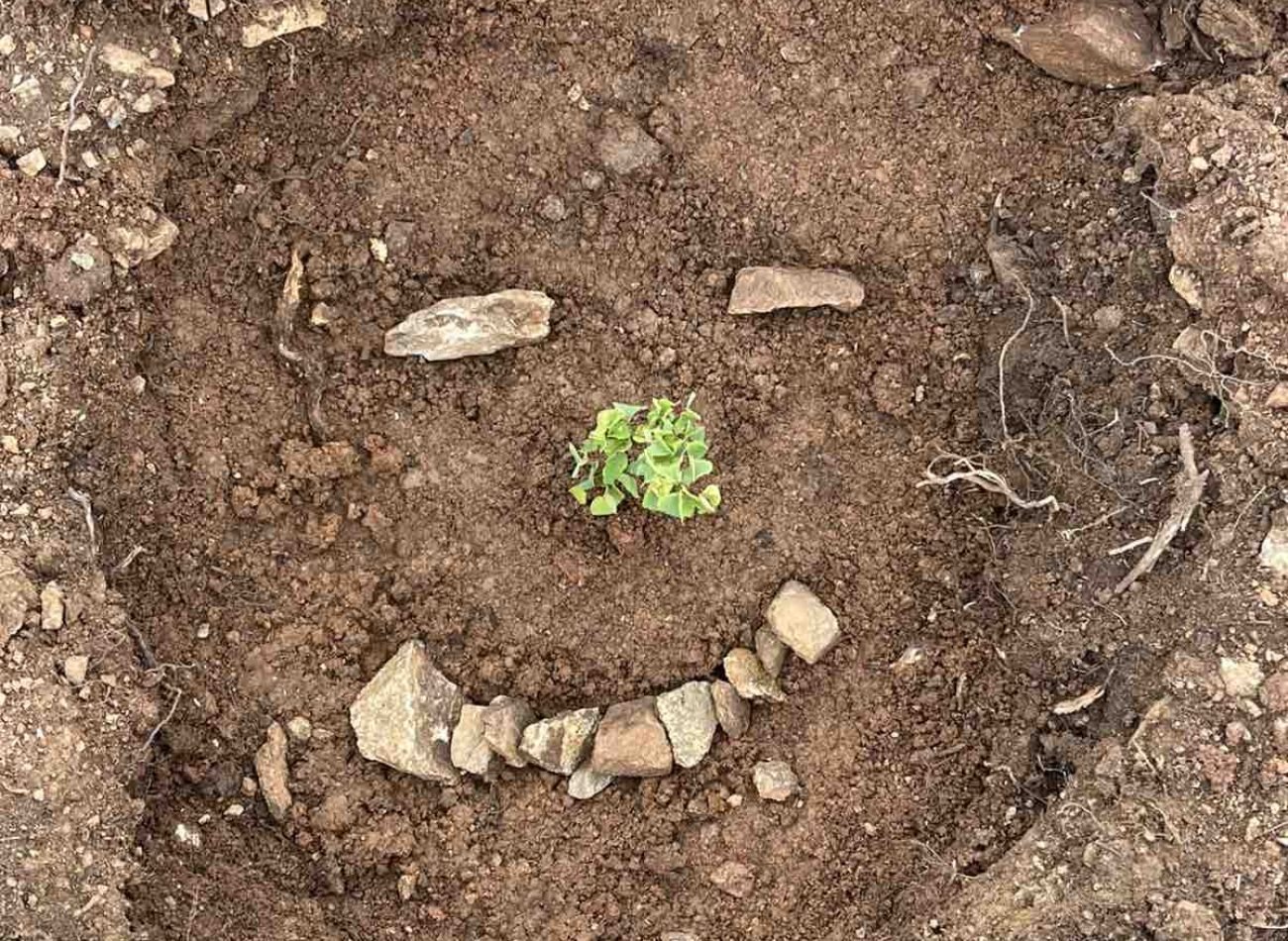 εικόνα_Viber_2026-01-29_10-53-22-520