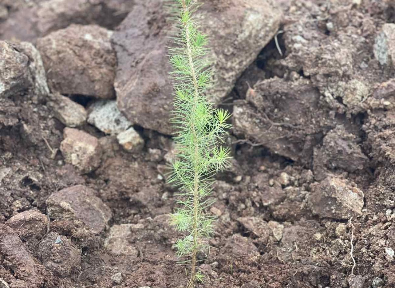 εικόνα_Viber_2026-01-29_10-53-23-379